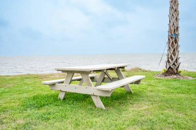 Executive Laguna Madre - 37
