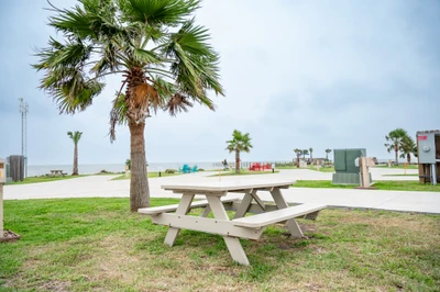Premium Laguna Madre - 62
